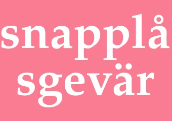 Synonym snapplåsgevär