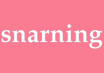 Synonym snarning