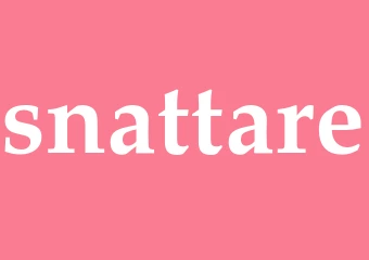 Synonym snattare