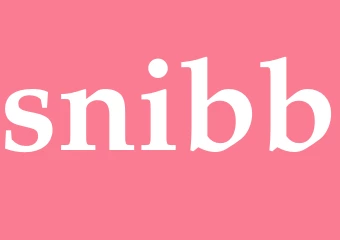 Synonym snibb