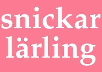 Synonym snickarlärling