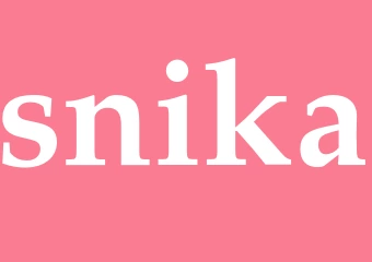 Synonym snika