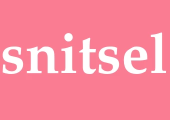 Synonym snitsel
