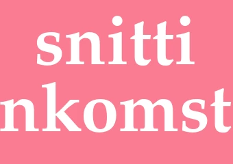 Synonym snittinkomst