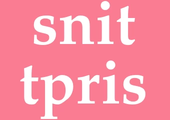 Synonym snittpris