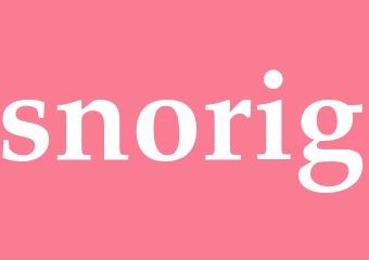 Synonym snorig