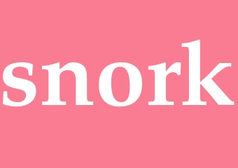 Synonym snork