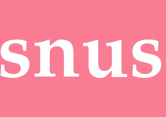 Synonym snus