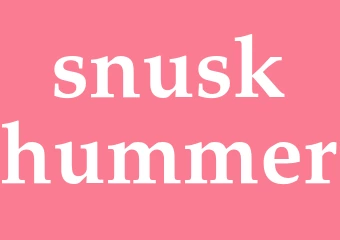 Synonym snuskhummer