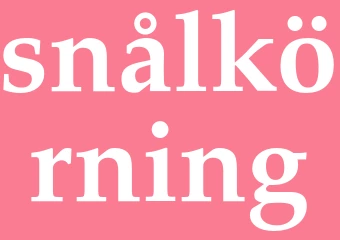 Synonym snålkörning