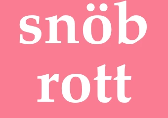 Synonym snöbrott
