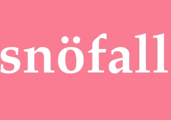 Synonym snöfall