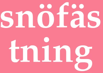 Synonym snöfästning