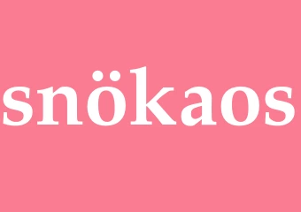 Synonym snökaos