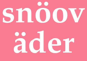 Synonym snöoväder