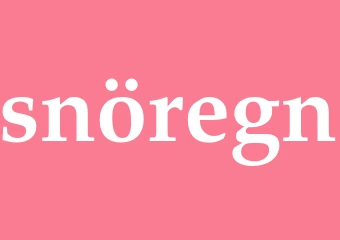 Synonym snöregn