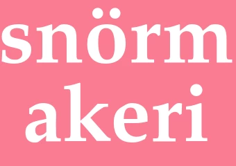 Synonym snörmakeri