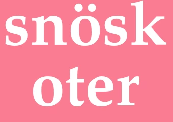 Synonym snöskoter