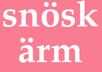 Synonym snöskärm