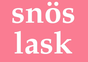 Synonym snöslask