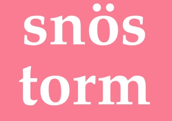 Synonym snöstorm