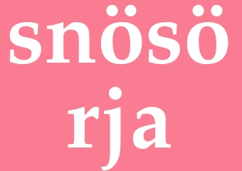 Synonym snösörja