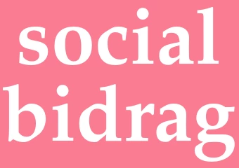 Synonym socialbidrag