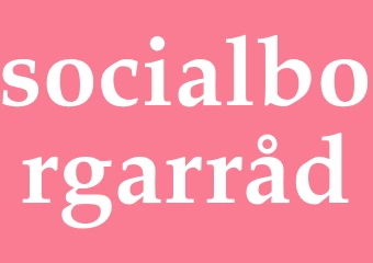 Synonym socialborgarråd