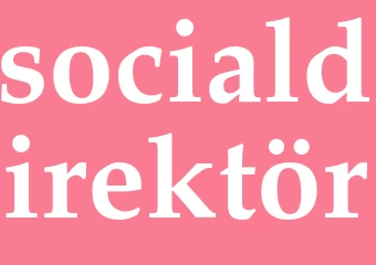 Synonym socialdirektör