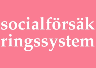 Synonym socialförsäkringssystem