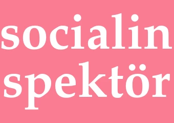 Synonym socialinspektör