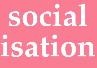 Synonym socialisation