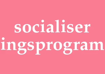 Synonym socialiseringsprogram