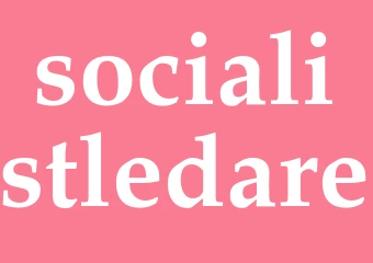 Synonym socialistledare