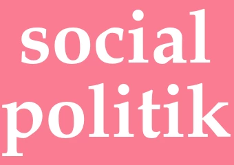 Synonym socialpolitik