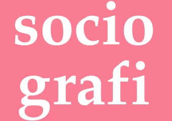 Synonym sociografi