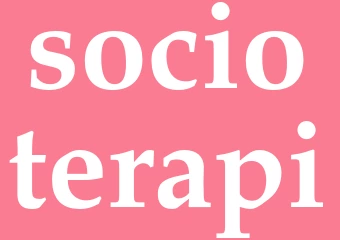 Synonym socioterapi