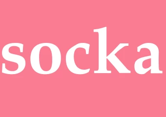 Synonym socka