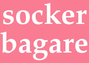 Synonym sockerbagare