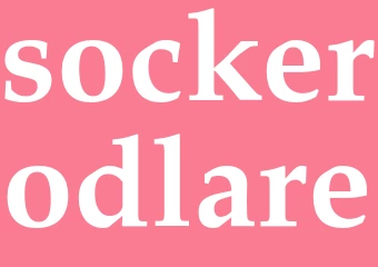 Synonym sockerodlare