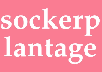 Synonym sockerplantage