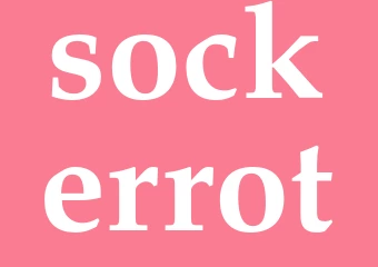 Synonym sockerrot