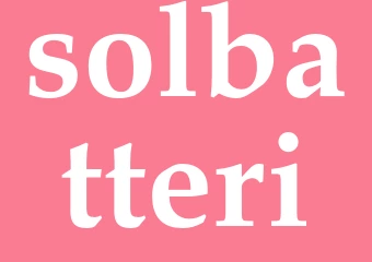 Synonym solbatteri