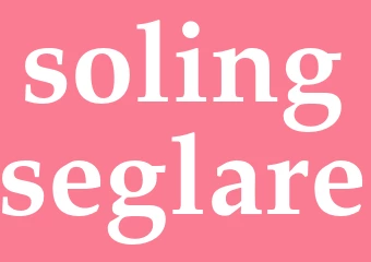Synonym solingseglare