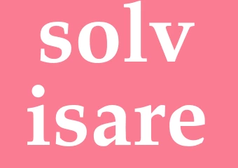 Synonym solvisare