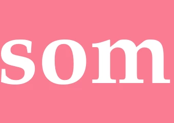 Synonym som