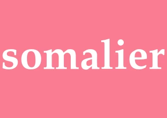 Synonym somalier