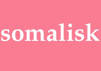 Synonym somalisk