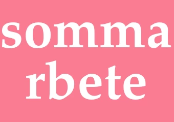 Synonym sommarbete