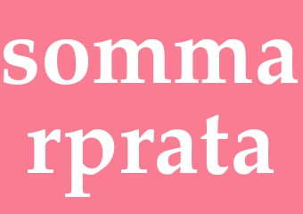 Synonym sommarprata